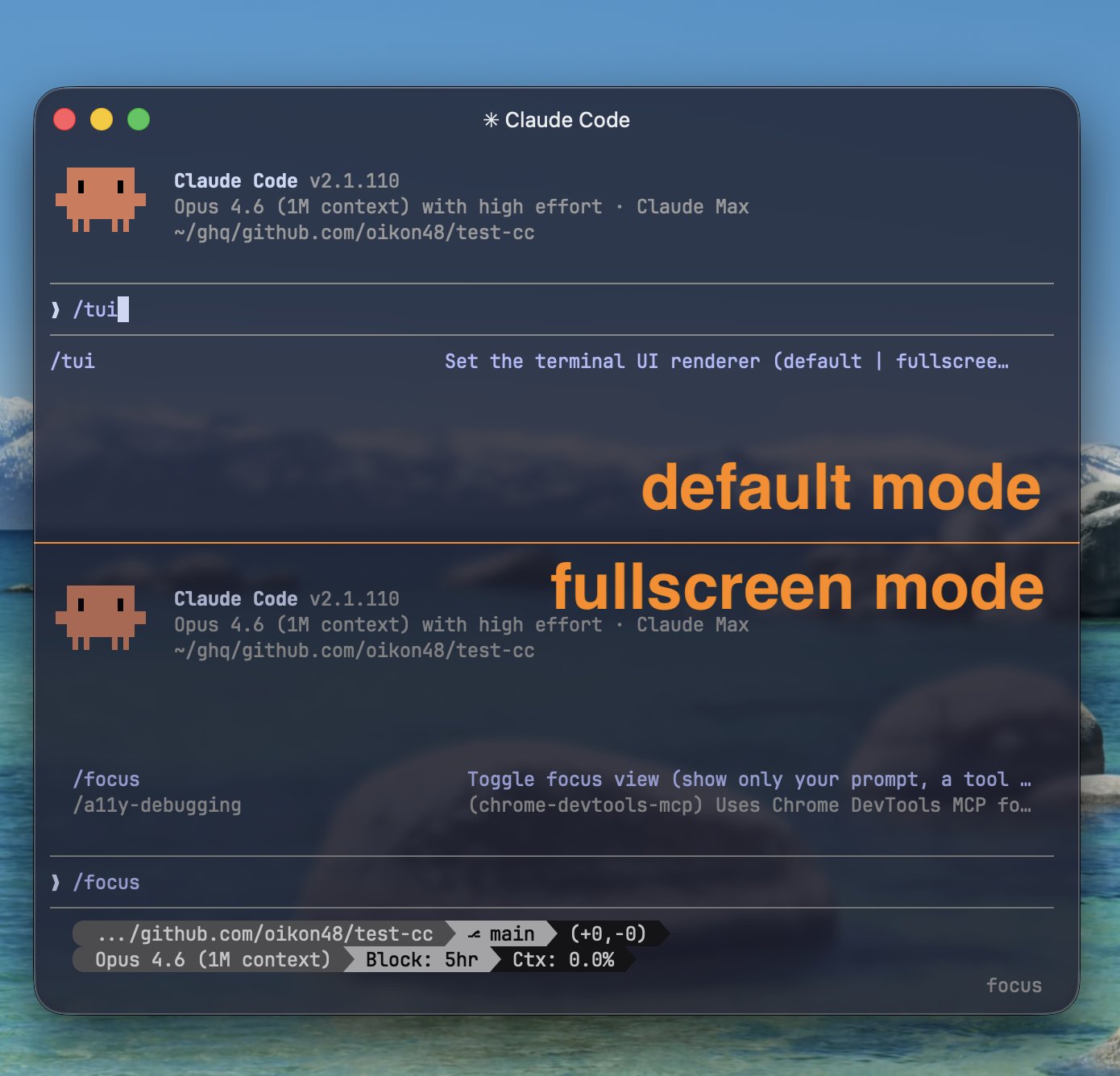 /tui command details
